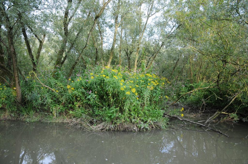 Hotel De Brabantse Biesbosch Werkendam Esterno foto
