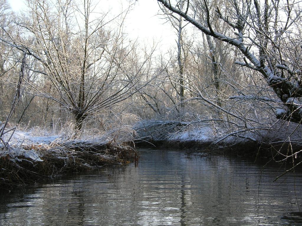 Hotel De Brabantse Biesbosch Werkendam Esterno foto
