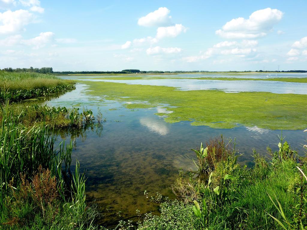 Hotel De Brabantse Biesbosch Werkendam Esterno foto