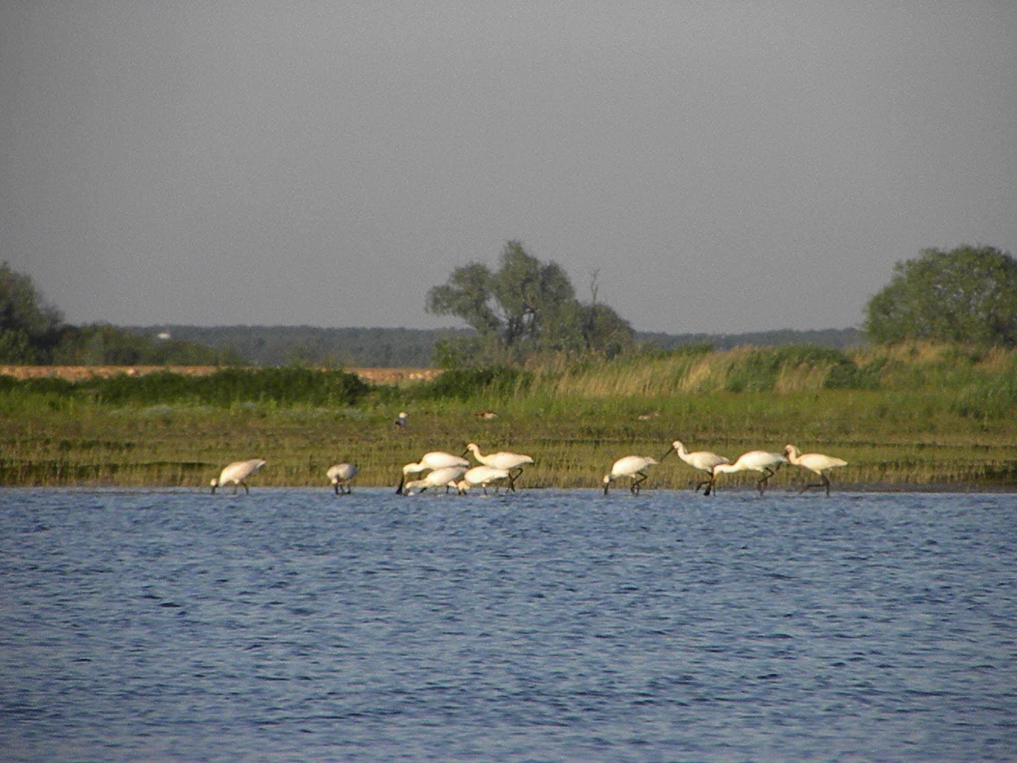 Hotel De Brabantse Biesbosch Werkendam Esterno foto